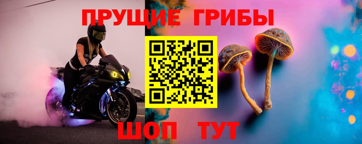 Можайск  как найти   Вход с VPN  Галлюциногенные грибы ЛСД 